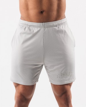 Alphalete AA Mesh 6” Uomo Pantaloncini Grigie | 92HONWULV