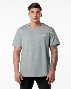 Alphalete Classiche Uomo Camicie Grigie | 39RSENPYQ
