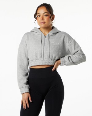 Alphalete Classicital Crop Donna Felpa Con Cappuccio Grigie | 28XQSJLKZ