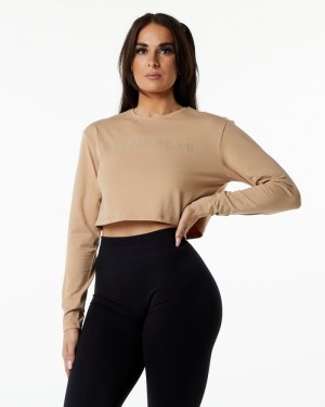 Alphalete Core LS Crop Donna Magliette Grigie Marroni | 94OPGFCQU
