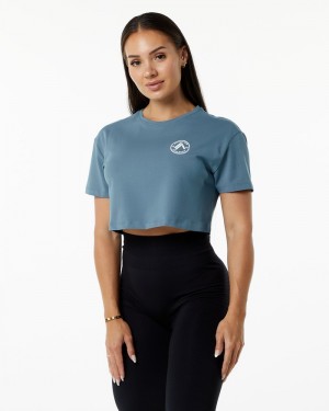 Alphalete Dynasty Crop Donna Camicie Blu | 04GPARUZT
