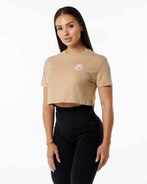 Alphalete Dynasty Crop Donna Camicie Grigie Marroni | 64CRHXITV