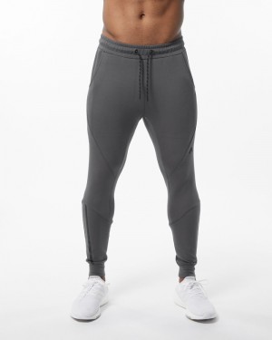 Alphalete ELMTS Cuffed Uomo Pantaloni Jogger Grigie | 95LFMKCYH