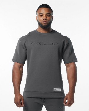 Alphalete ELMTS Half Sleeve Pullover Uomo Felpa Grigie | 76MUNHKBR
