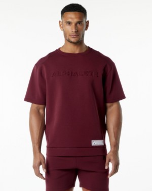 Alphalete ELMTS Half Sleeve Pullover Uomo Felpa Bordeaux | 36TJQBLFZ