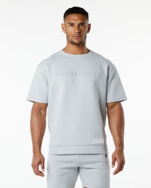 Alphalete ELMTS Half Sleeve Pullover Uomo Felpa Grigie | 18VEIKBRQ