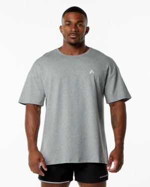 Alphalete Emblem Uomo Camicie Grigie | 86BORUCPX