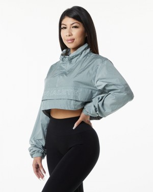 Alphalete Endure Crop Donna Giacche Grigie Blu | 13HTOLSGK