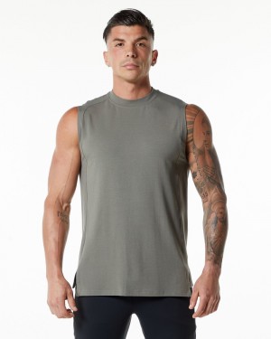 Alphalete Evo Uomo Canotta Grigie | 50VATHCXN