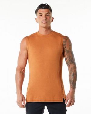 Alphalete Evo Uomo Canotta Marroni | 74VHSWJUQ