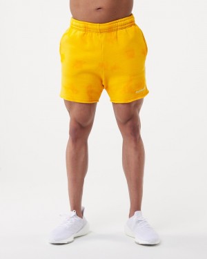 Alphalete HCTS 5" Uomo Pantaloncini Arancioni | 31DTNJUHO