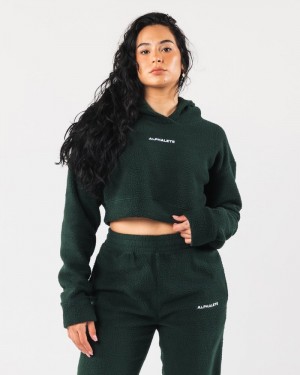 Alphalete King Crop Donna Felpa Con Cappuccio Verdi | 63KBSJMYN
