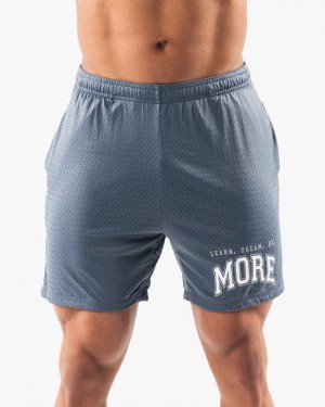 Alphalete LDB More Mesh 6” Uomo Pantaloncini Blu | 93UGTBNRJ