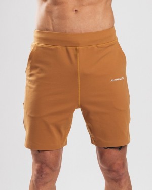 Alphalete Trace 8" Uomo Pantaloncini Marroni | 13BIGFXAK