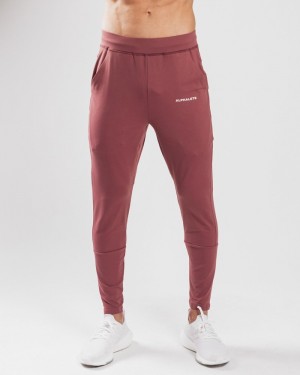 Alphalete Trace Uomo Pantaloni Jogger Viola | 36UOMRNHJ