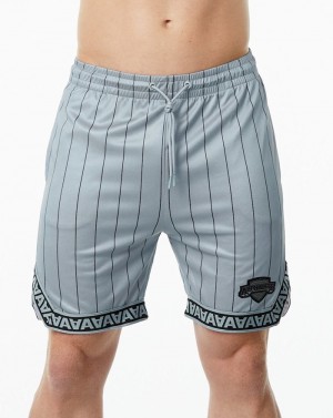 Alphalete Varsity Basketball 9" Uomo Pantaloncini Grigie | 20CYSFQMZ