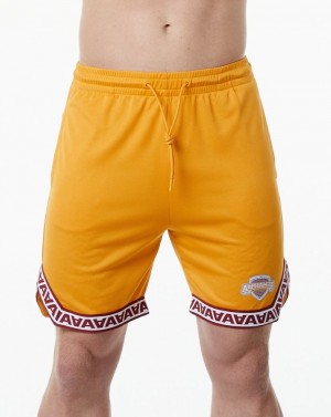 Alphalete Varsity Basketball 9" Uomo Pantaloncini Arancioni | 61VUHMGIS