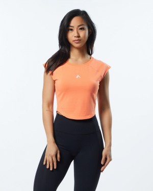 Alphalete Velocity Crop Donna Camicie Corallo | 81WNEBGMS
