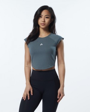 Alphalete Velocity Crop Donna Camicie Grigie | 20SBAPFRW