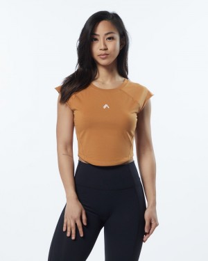 Alphalete Velocity Crop Donna Camicie Marroni | 41YWLQAOI