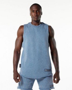 Alphalete Very Terry Cutoff Uomo Canotta Blu | 15QFYBGUE