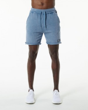 Alphalete Very Terry Uomo Pantaloncini Blu | 79ABKFMGZ