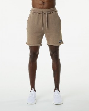 Alphalete Very Terry Uomo Pantaloncini Grigie | 02PIVKBMU
