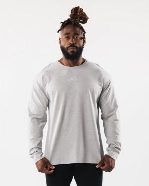 Alphalete Wolf Head LS Uomo Camicie Grigie | 85WYFKBEN