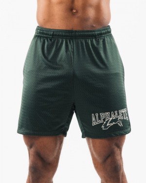 Alphalete Wolf Head Mesh 6" Uomo Pantaloncini Verdi | 82PKSVAGO