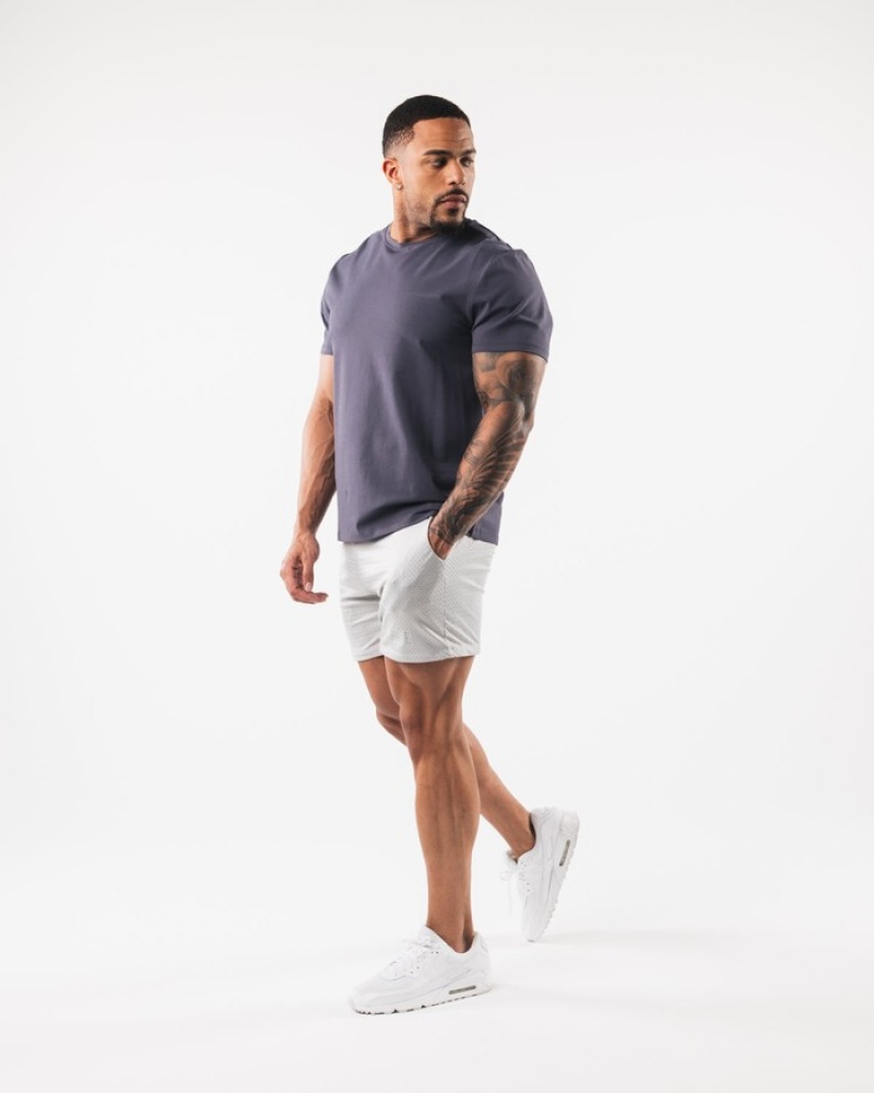 Alphalete AA Mesh 6” Uomo Pantaloncini Grigie | 92HONWULV