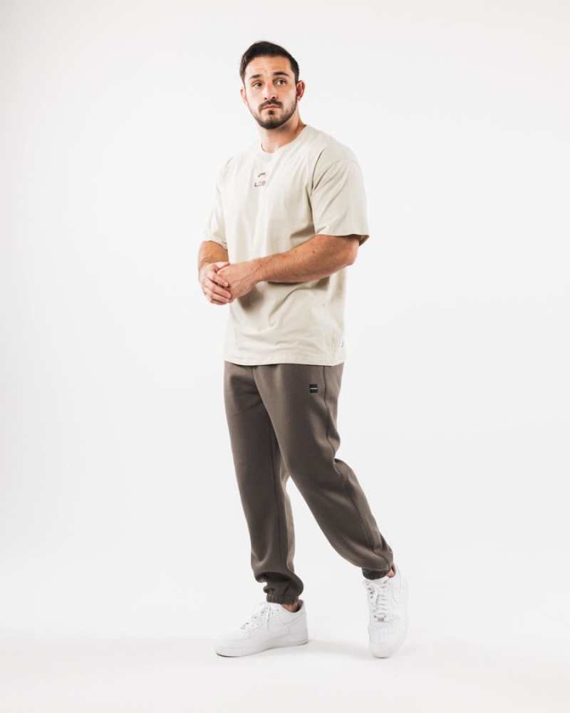Alphalete Academy Relaxed Uomo Pantaloni Jogger Grigie Marroni | 72QOSLUPR