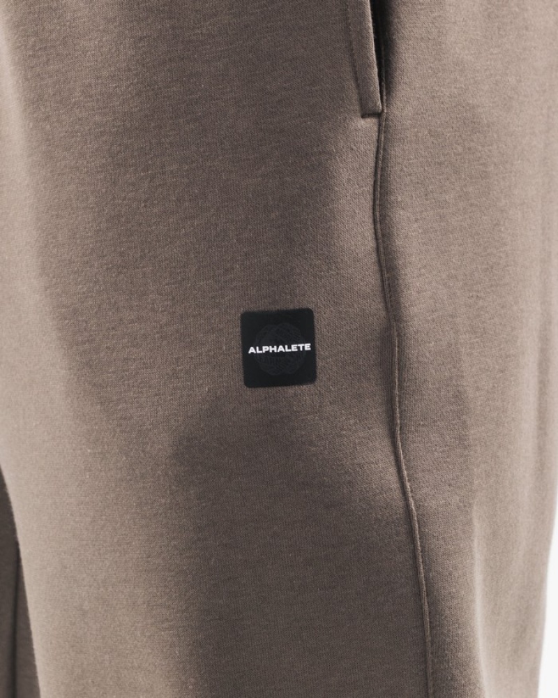 Alphalete Academy Relaxed Uomo Pantaloni Jogger Grigie Marroni | 72QOSLUPR