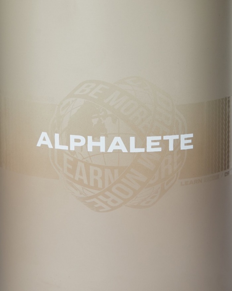 Alphalete Alphalete SS Uomo Altri Accessori Marroni | 73RGWIFHV