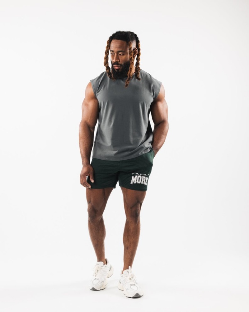 Alphalete Brushed Wolf Head Muscle Uomo Canotta Grigie | 65SWNLBUJ