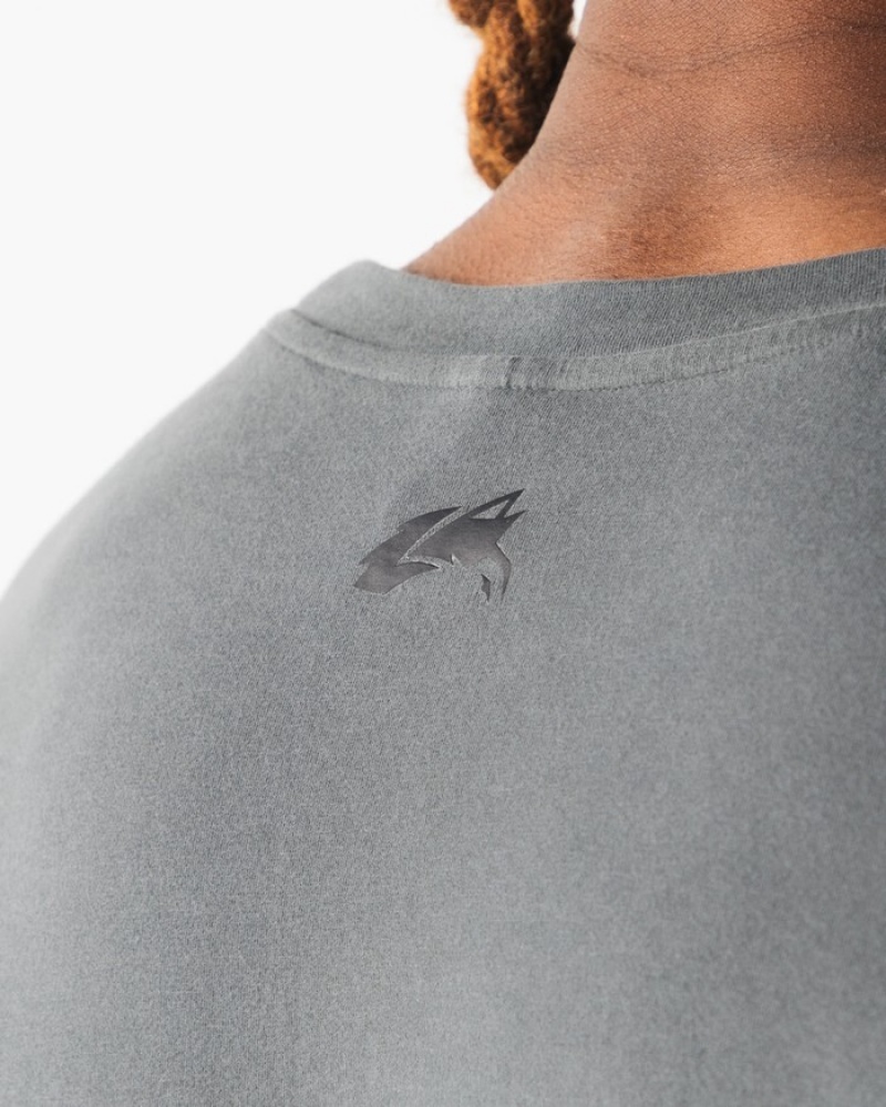Alphalete Brushed Wolf Head Muscle Uomo Canotta Grigie | 65SWNLBUJ