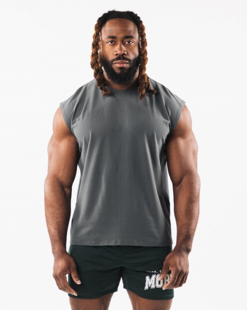 Alphalete Brushed Wolf Head Muscle Uomo Canotta Grigie | 65SWNLBUJ