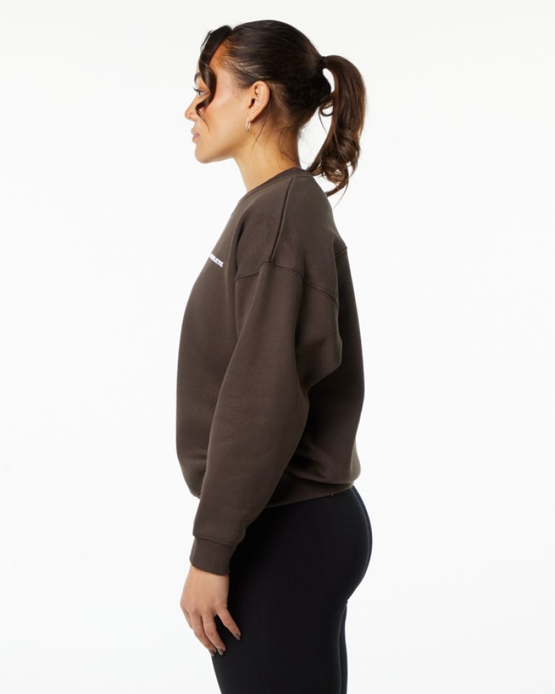 Alphalete Classiche Crew Donna Felpa Marroni | 13GOXDYSE