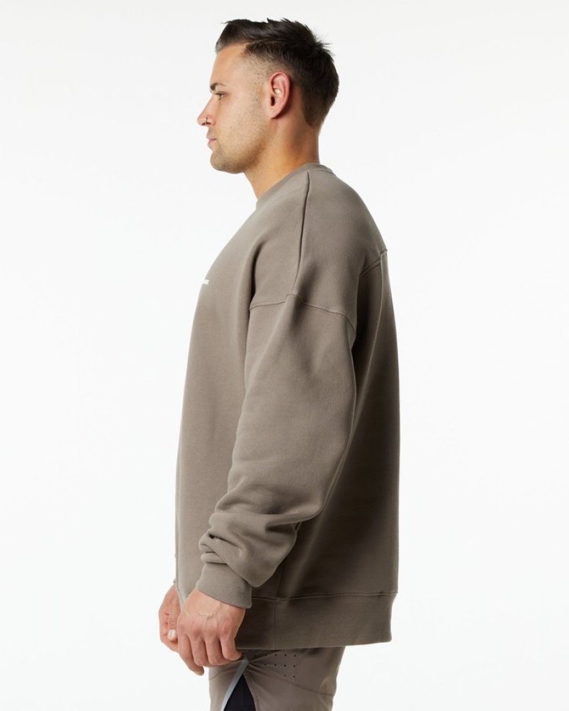 Alphalete Classiche Crew Uomo Felpa Beige | 69CXVUPRZ