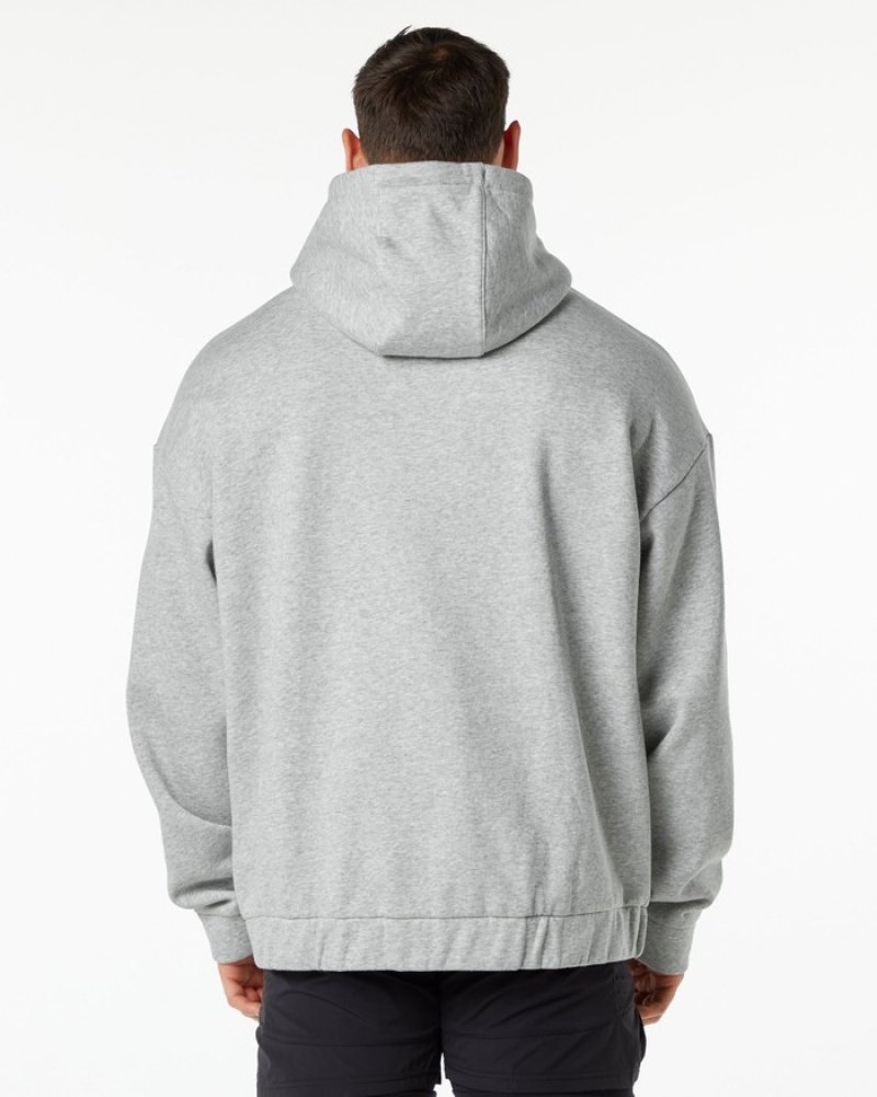 Alphalete Classiche Full-Zip Uomo Giacche Grigie | 10NRVFDMX