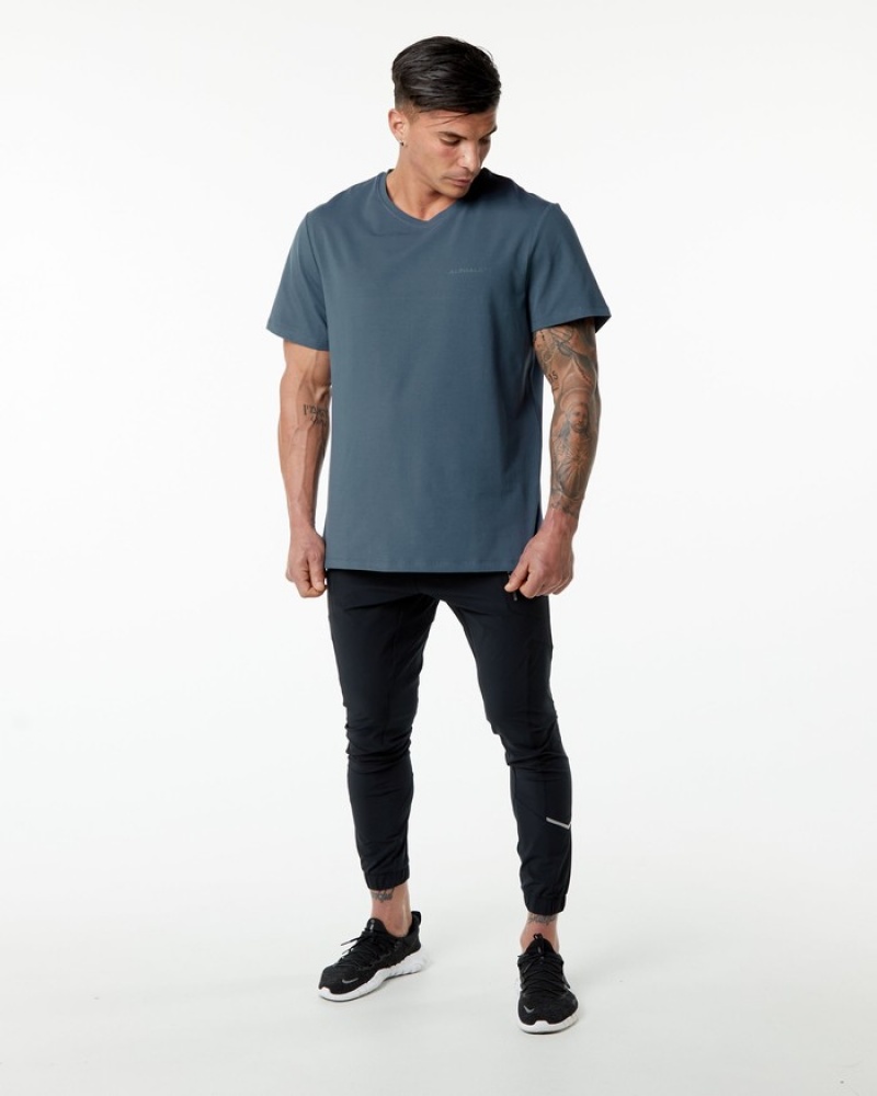Alphalete Classiche Uomo Camicie Blu | 58RGWKMAU