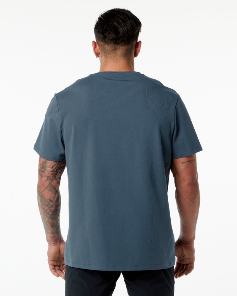 Alphalete Classiche Uomo Camicie Blu | 58RGWKMAU