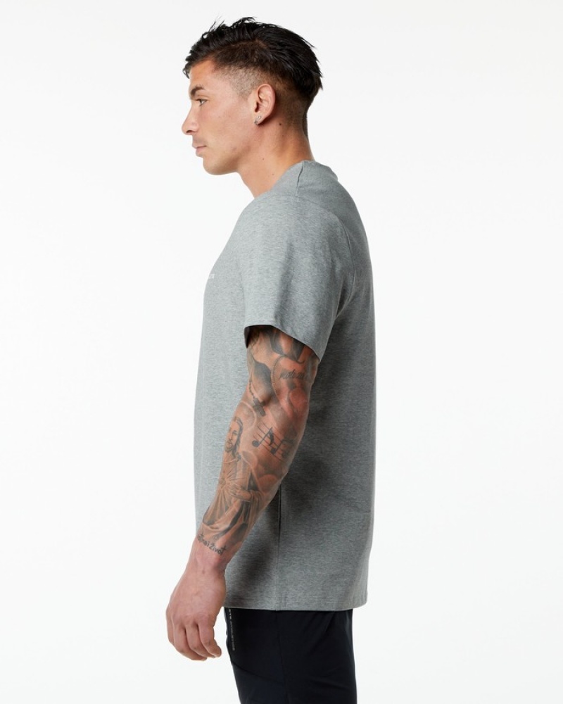 Alphalete Classiche Uomo Camicie Grigie | 39RSENPYQ