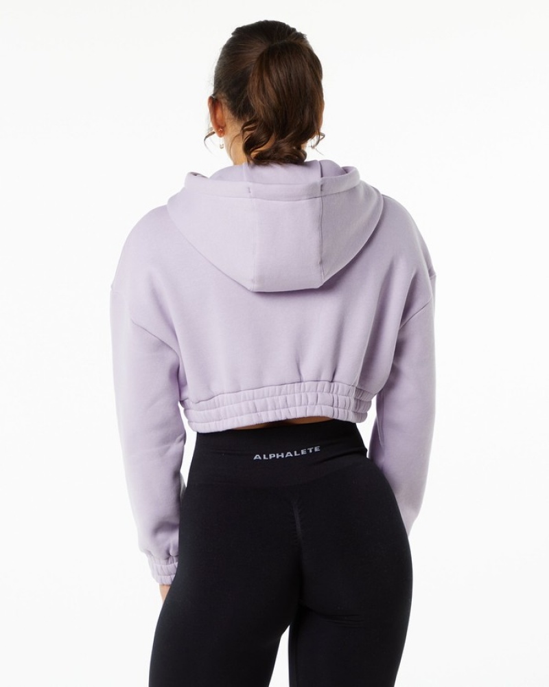 Alphalete Classicital Crop Donna Felpa Con Cappuccio Viola | 24THYORPS
