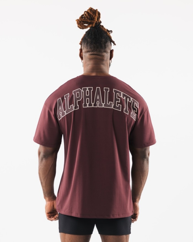 Alphalete Collegiate Uomo Camicie Bordeaux | 54OQCDTSM