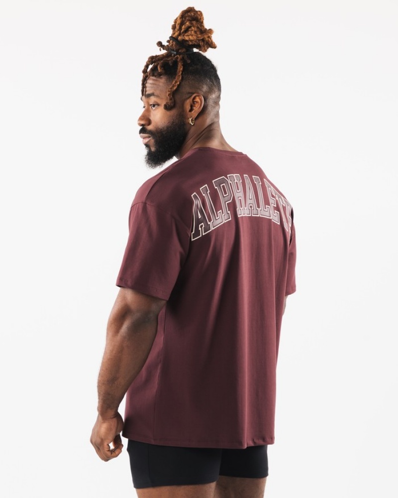 Alphalete Collegiate Uomo Camicie Bordeaux | 54OQCDTSM