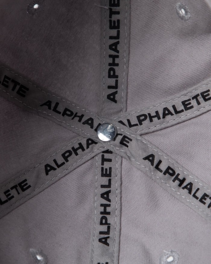 Alphalete Collegiate Vintage Donna Cappellini Grigie | 41PSYIRJU
