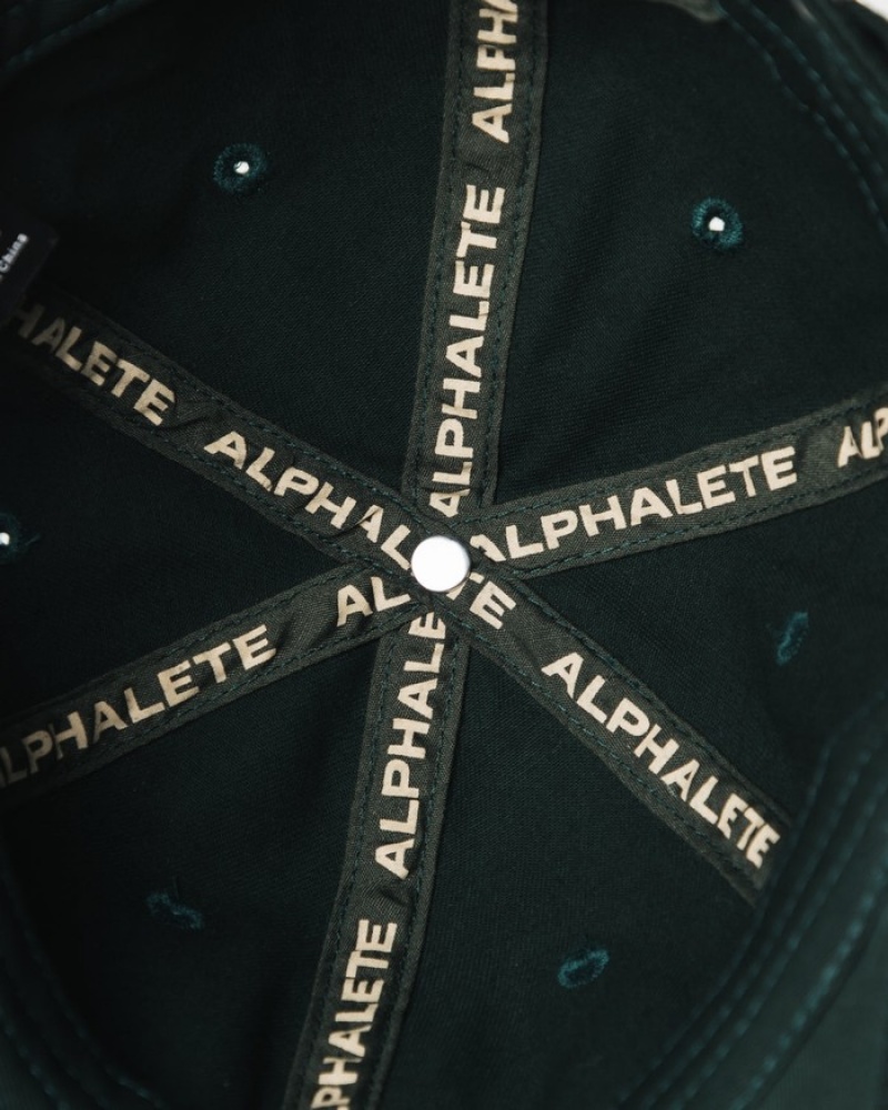 Alphalete Collegiate Vintage Uomo Cappellini Verdi | 25WDGHPVN