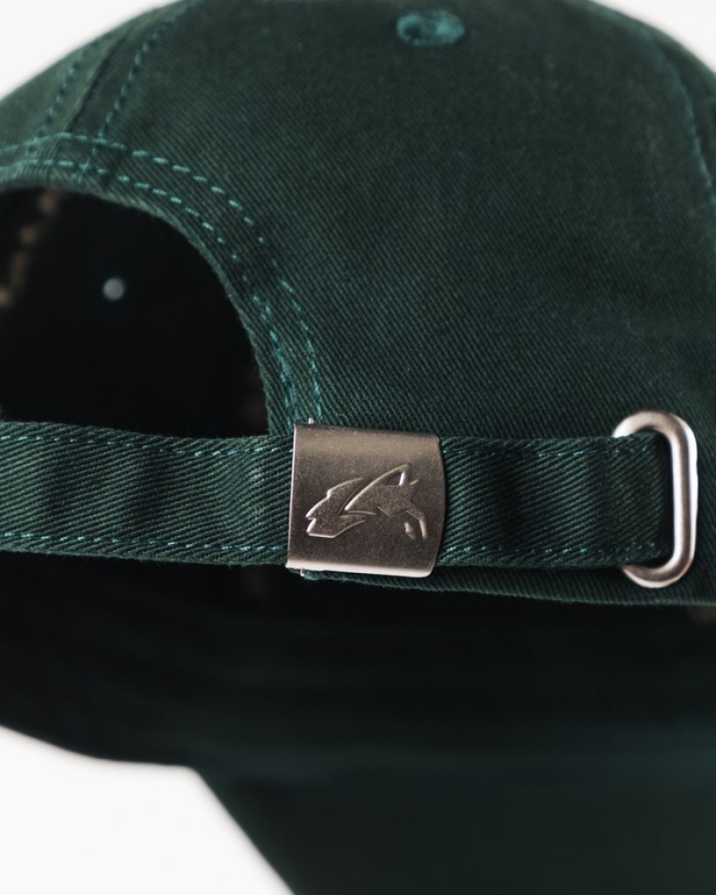 Alphalete Collegiate Vintage Uomo Cappellini Verdi | 25WDGHPVN