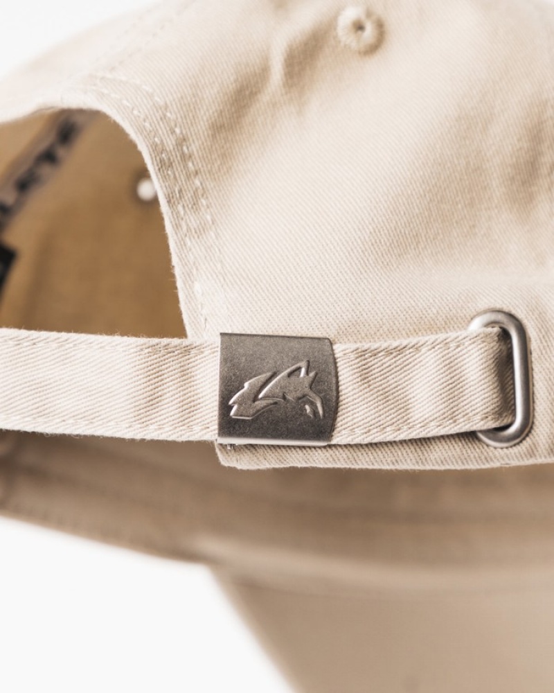 Alphalete Collegiate Vintage Uomo Cappellini Beige | 40OLGNQYM