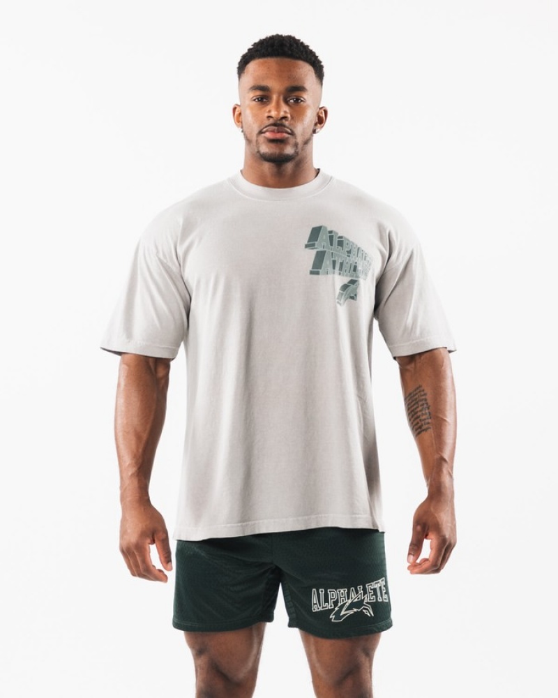 Alphalete Dimensional Uomo Camicie Argento Scuro | 37LNDARTJ